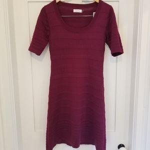 Calvin Klein Little Dress